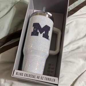 Michigan wolverines tumbler